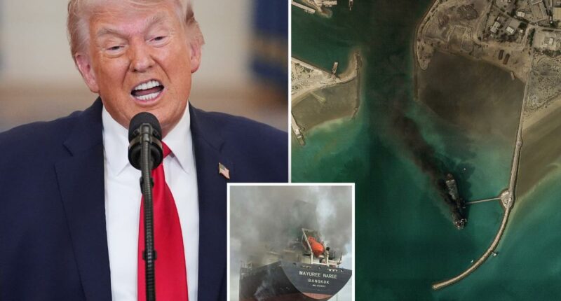 Trump makes new foul-mouthed threat to Iran: 'Open the F---inâ Strait